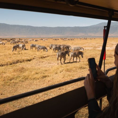 df3d4da9cead47aa969b592364e0d72d